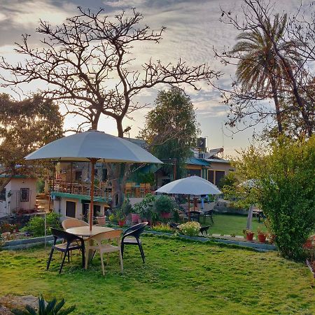 Forest Eco Lodge Mount Abu Exterior photo